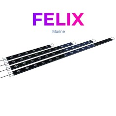 Micmol G2 FELIX 1500 Marine 75 watt - per acquari marini