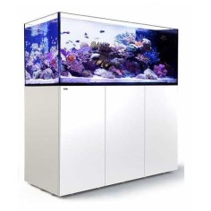 Red Sea Reefer Peninsula G3 S-700 cm151x68x65h bianco -... 2