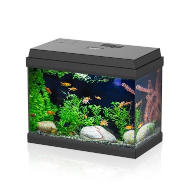 Aqpet Simply LED 30 nero - acquario cm39x22x30h...
