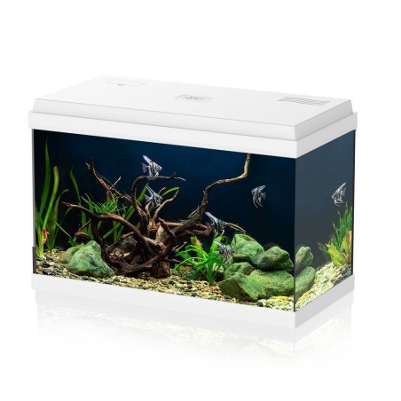 Aqpet Simply LED 60 bianco - acquario cm60x30x39h completo di filtro, illuminazione e riscaldatore