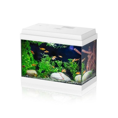 Aqpet Simply LED 30 bianco - acquario...