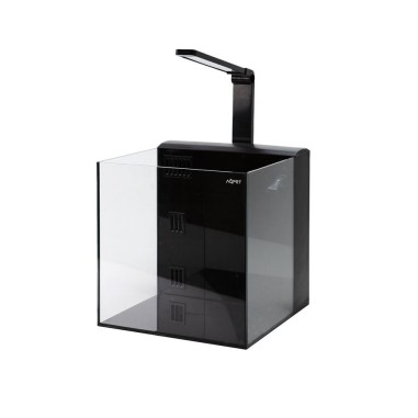 Aqpet Kubic 30 Rear Nero - vasca in vetro...