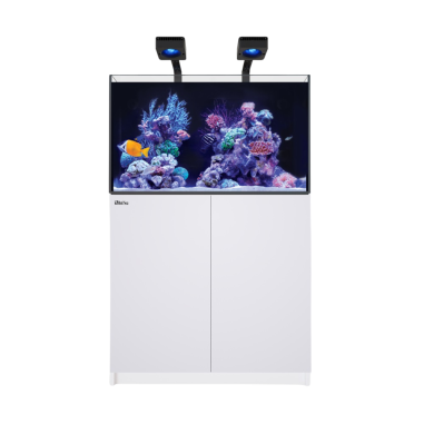Red Sea REEFER Deluxe 250 G3 bianco cm...