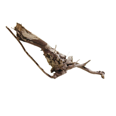 Decorline Spider Wood misure cm22x9x13h Foto Reale cod.SP04
