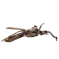 Decorline Spider Wood misure cm22x9x13h Foto Reale cod.SP04 2