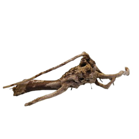 Decorline Spider Wood misure cm22x9x13h Foto Reale cod.SP04 Decorline Spider Wood misure cm22x9x13h Foto Reale cod.SP04