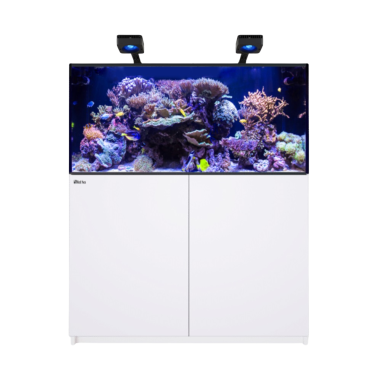 Red Sea REEFER Deluxe 425 G3 bianco cm...