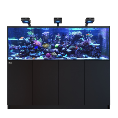 Red Sea REEFER Deluxe 750 G3 nero cm 180x65x60h...