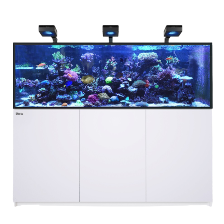 Red Sea REEFER Deluxe 750 G3 bianco cm 180x65x60h - 3xReefLed 170 a braccio, con sump, supporto e sistema di rabbocco