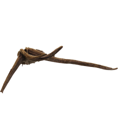 Decorline Spider Wood misure cm25x20x8h Foto Reale cod.SP95