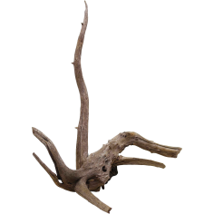 Decorline Spider Wood misure cm25x20x8h Foto Reale cod.SP95 2