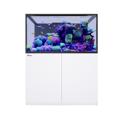 Red Sea REEFER S-550 G3 bianco cm 120x68x65h -...