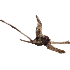 Decorline Spider Wood misure cm33x21x8h Foto Reale cod.SP110 2