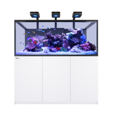 Red Sea REEFER Deluxe S-700 G3 bianco cm 150x68x65h -...