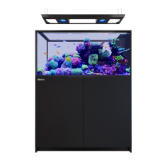 Red Sea REEFER Deluxe Peninsula 500 G3 nero cm...