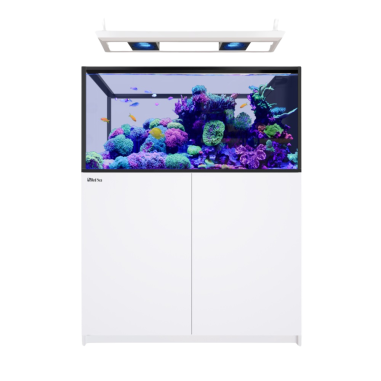Red Sea REEFER Deluxe Peninsula 500 G3 bianco...