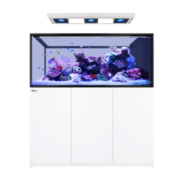 Red Sea REEFER Deluxe Peninsula s-700 G3 bianco...