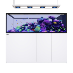 Red Sea REEFER Deluxe Peninsula s-950 G3 bianco cm...