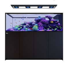 Red Sea REEFER Deluxe Peninsula s-950 G3 nero cm...