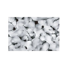 Maxspect Nano-Tech Bio Sand 5kg - supporto biologico ad... 2