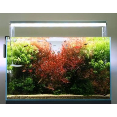 Twinstar E-Line Serie IV 600EC - plafoniera LED...