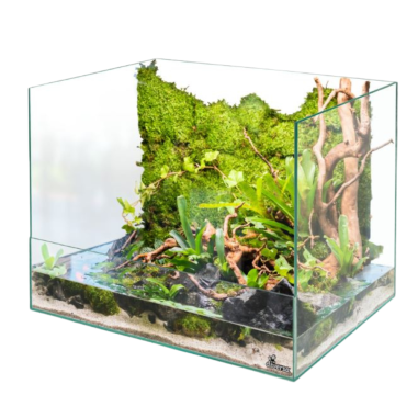 Diversa Paludario 40x30x10/30 - in vetro...