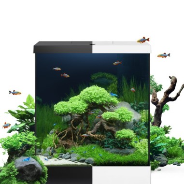 Juwel Vio Cube 54 Nero cm41x36x47h – Acquario...
