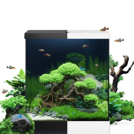 Juwel Vio Cube 54 Nero cm41x36x47h – Acquario completo 54 L