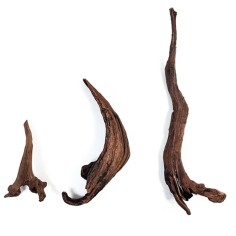 Wio Longhorn Wood M 20-30cm - legno naturale