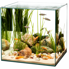 AquariumLine Cube 40 - acquario cubico cm40x40x45h 2