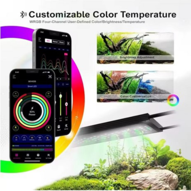 Micmol – Extreme 1200 Planted - programmazione...