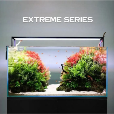 Micmol – Extreme 1200 Planted - programmazione...