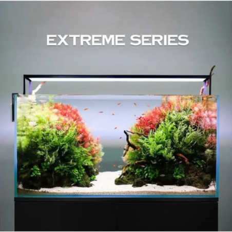 Micmol – Extreme 900 Planted - crescita rigogliosa e colori intensi