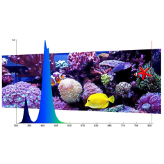 Micmol G2 FELIX 1500 Marine 75 watt - per acquari marini 2