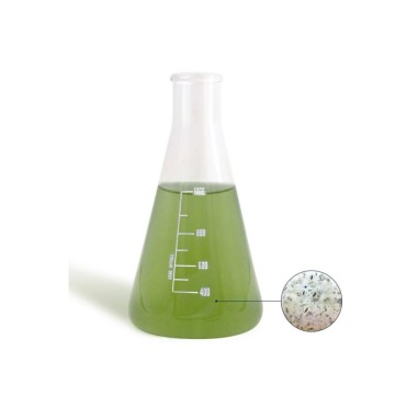 Bea Mesocosmo Micro 1000ml - coltura di...