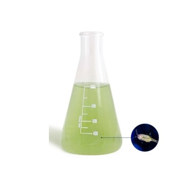 Bea Mesocosmo Tisbe 1000ml - coltura di...