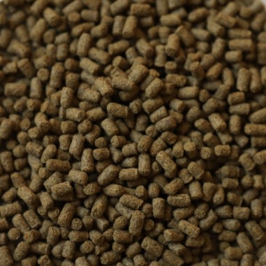 DuplaRin Axolotl Snack 85gr - Mangime base in...