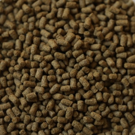DuplaRin Axolotl Snack 85gr - Mangime base in granuli per Assolotti e Tritoni