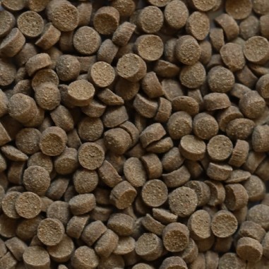 DuplaRin Crusta Snack 80gr - granuli affondanti...