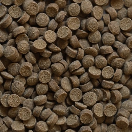 DuplaRin Crusta Snack 80gr - granuli affondanti per Caridine e gamberetti