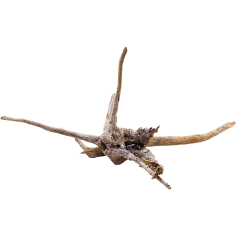 Decorline Spider Wood misure cm27x18x14h Foto Reale cod.SP101