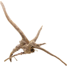 Decorline Spider Wood misure cm27x18x14h Foto Reale cod.SP101 2