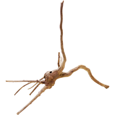 Decorline Spider Wood misura cm15x26x18h Foto Reale cod.SP25