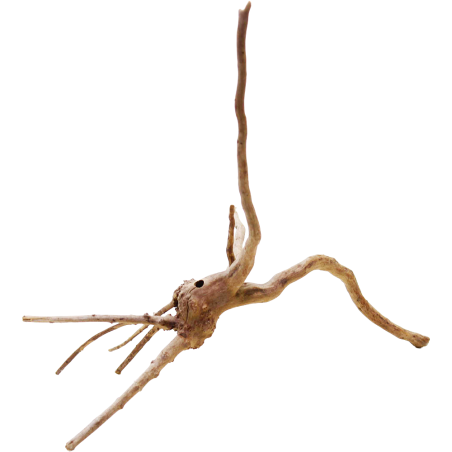 Decorline Spider Wood misura cm15x26x18h Foto Reale cod.SP25