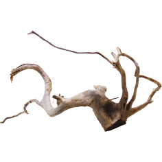 Decorline Spider Wood misure cm31x27x18h Foto Reale cod.SP41