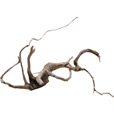 Decorline Spider Wood misure cm31x27x18h Foto Reale cod.SP41 2