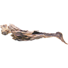 Decorline Driftwood Misura cm46x23x11h Foto Reale cod.DW36