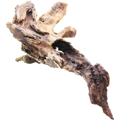 Decorline Driftwood Misura cm46x23x11h Foto Reale cod.DW36 2