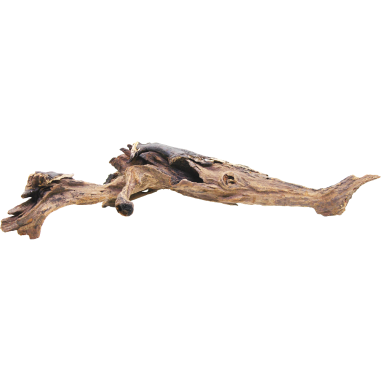 Decorline Driftwood Misura cm46x23x11h Foto Reale cod.DW36