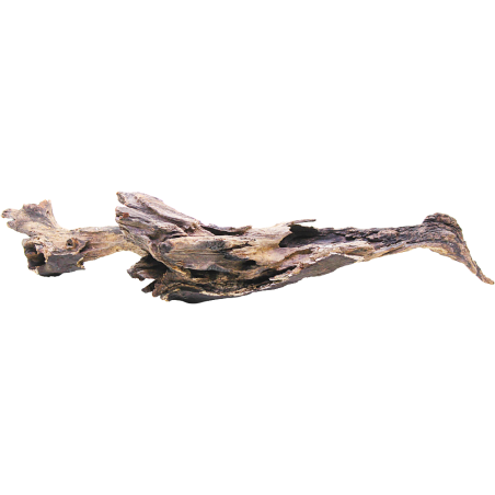 Decorline Driftwood Misura cm46x23x11h Foto Reale cod.DW36 Decorline Driftwood Misura cm46x23x11h Foto Reale cod.DW36